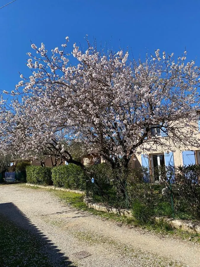 Location, Piscine, Jardin Cloture, Animaux Acceptes, Parking, Wifi Villa Lorgues France